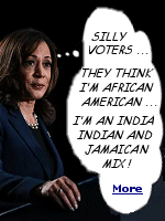 Interest in Harris' familial background and race was reignited in 2024, when Republican presidential nominee Donald Trump suggested that Harris has misled voters about her racial and ethnic identity. ''I didn't know she was Black until a number of years ago when she happened to turn Black and now she wants to be known as Black. So, I don't know, is she Indian or is she Black?'' Trump asked during an interview with the National Association of Black Journalists in Chicago.